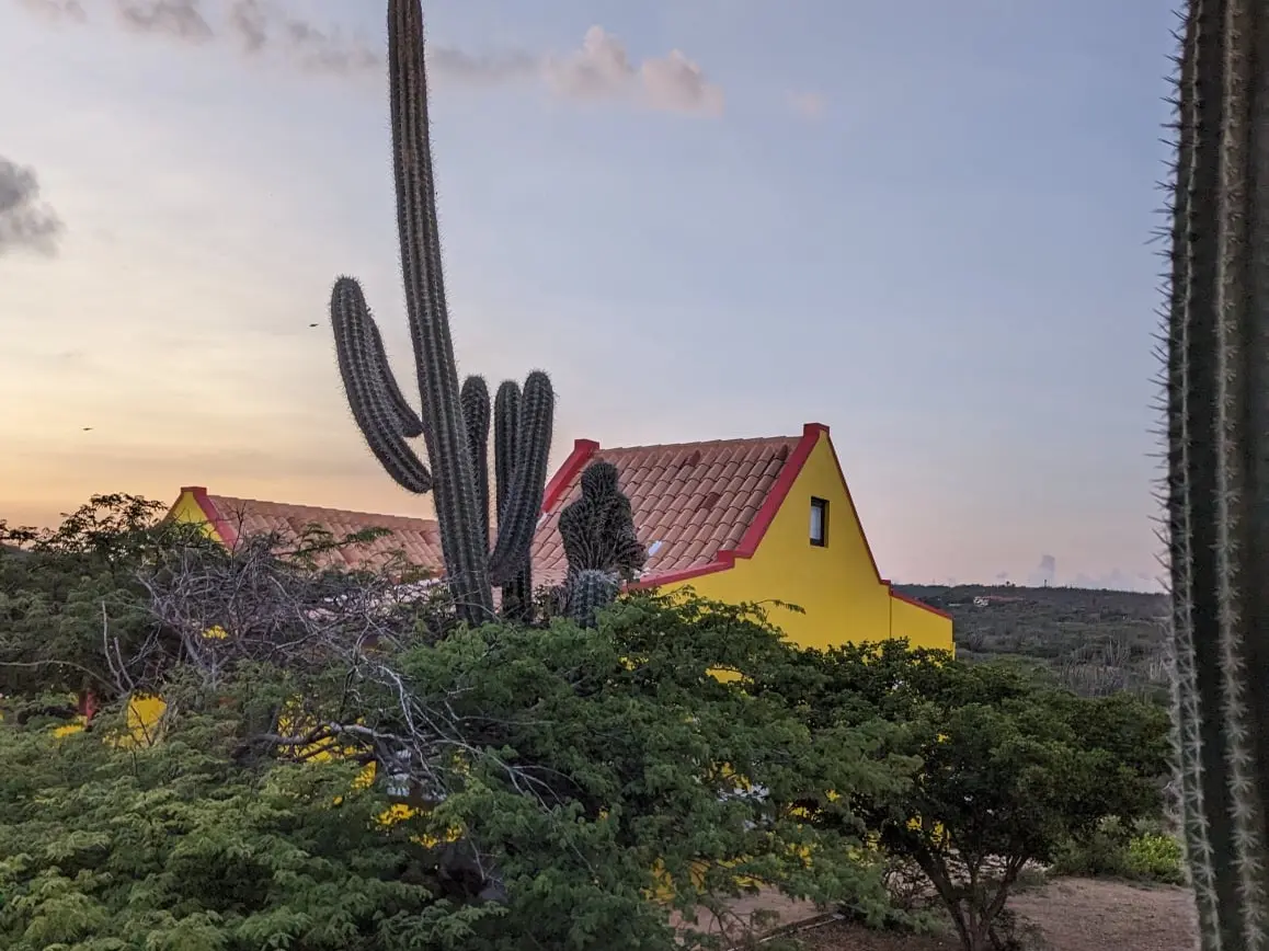 Desert Building